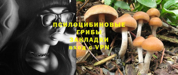 дживик Абинск