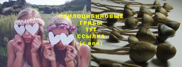 дживик Абинск
