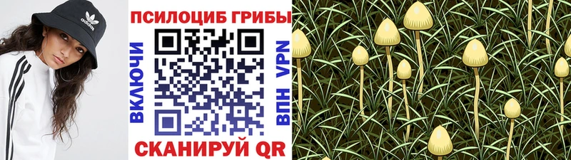 Галлюциногенные грибы ЛСД  Эртиль 